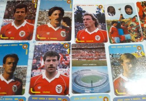 imagem_2