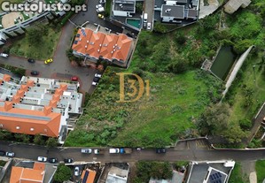imagem_6
