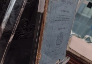 imagem_3