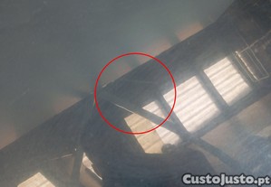 imagem_7