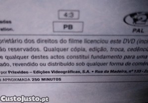 imagem_8