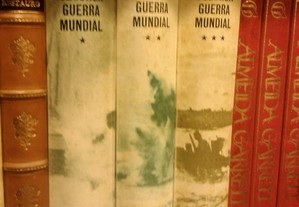 imagem_2