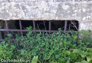 imagem_4