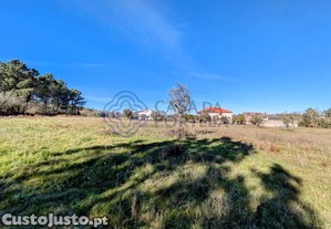 imagem_7