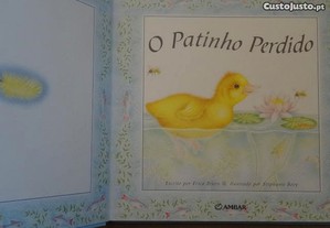 imagem_2
