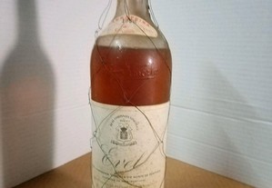 Real vinícola Evel 1960