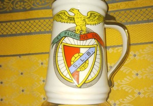 Caneca do Benfica 1993/94