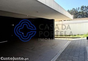 imagem_12