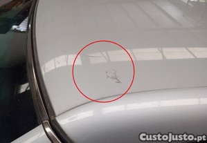 imagem_12
