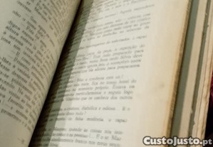 imagem_3