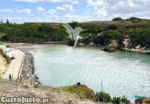imagem_29