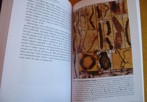 imagem_7