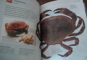 imagem_3