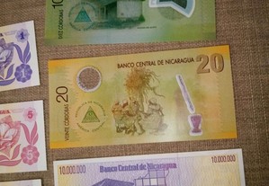 imagem_6