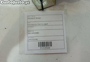 imagem_6