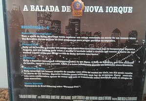 imagem_6
