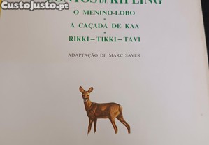 imagem_2