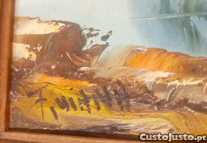 imagem_6