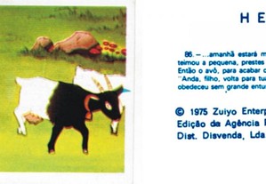 imagem_5