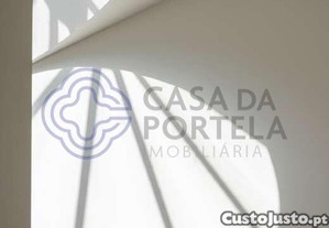 imagem_12