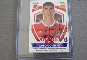 imagem_2