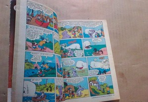 imagem_4