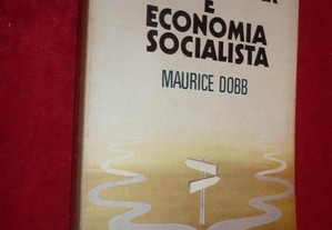 Economia do Bem-Estar e Economia Socialista