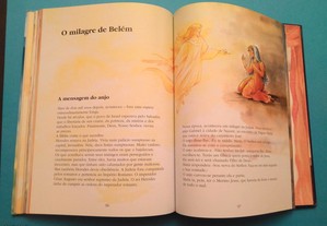 imagem_7
