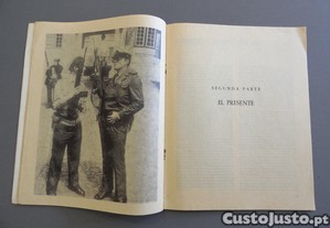imagem_6