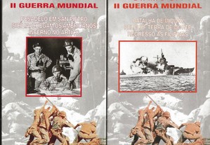 imagem_2