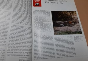 imagem_12
