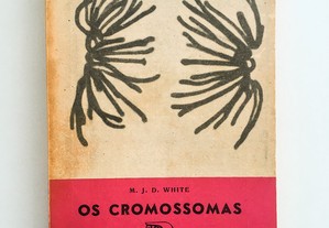 Os Cromossomas