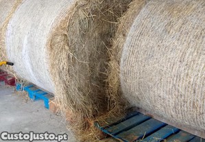 Feno de boa qualidade