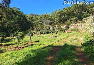 Terreno com 21 500,00 m2 à em caniçal