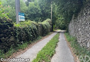 Terreno Agrícola em Lagoa (Nossa Senhora do Rosário)