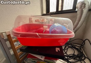 Caixa para hamster