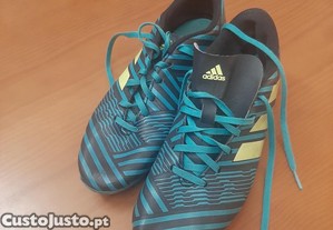 imagem_1