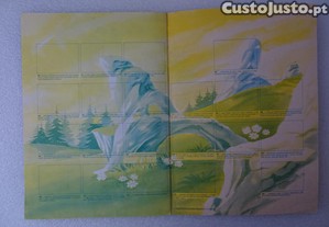 imagem_4
