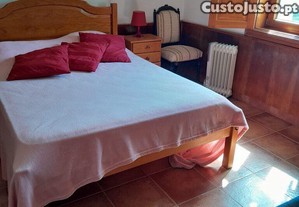 imagem_19