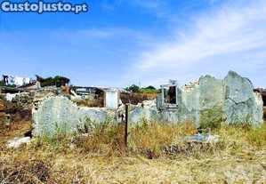 imagem_6