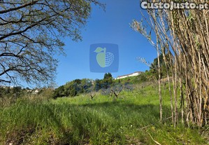 imagem_27