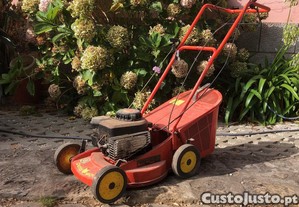 Corta relva Outils Wolf NET2