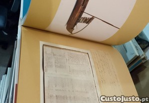 imagem_5
