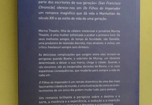 imagem_3