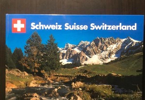 livro turismo suiça antigo