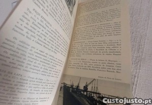 imagem_7