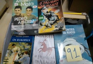imagem_2