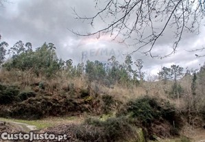 Terreno Florestal Com 3.240M2!