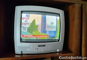 imagem_1