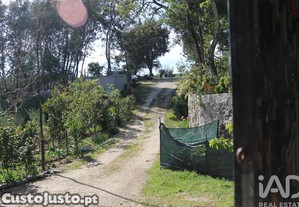 imagem_20